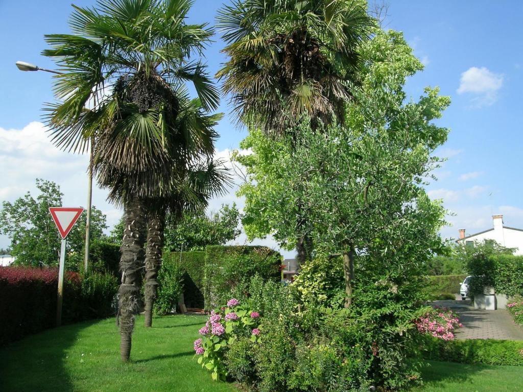 Hotel Da Vito Campagna Lupia Dış mekan fotoğraf